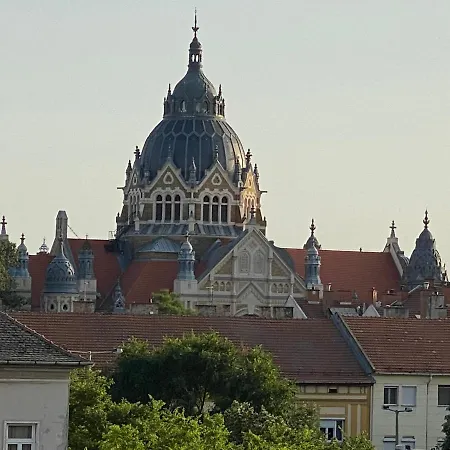 Noir Silvery Szeged